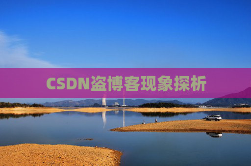 CSDN盗博客现象探析
